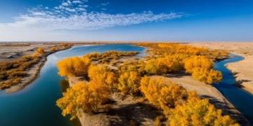 黃河尾閭風(fēng)情——東營(yíng)的晨光、鹽堿綠洲與家鄉(xiāng)味蕾記憶