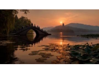 臺州必游：自然奇觀與人文勝跡合集