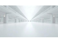 固始白鵝制成的鵝塊：鮮嫩美味，宴席必備的信陽名吃