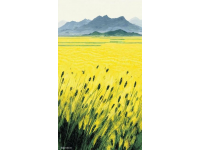 陜西方言中玉米的幾種叫法及其背后的鄉村故事