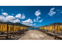 三亞海棠灣必去景點(三亞必去的景點和美食)