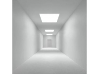 夏日清新必備！黃瓜炒雞胸肉，低脂高蛋白，快手又營養的夏日佳肴！