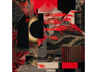 達娃卓瑪：從“白馬公主”到海派滑稽舞臺的多面才女