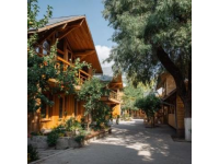 中衛旅游攻略不愁～美食民宿等你來！