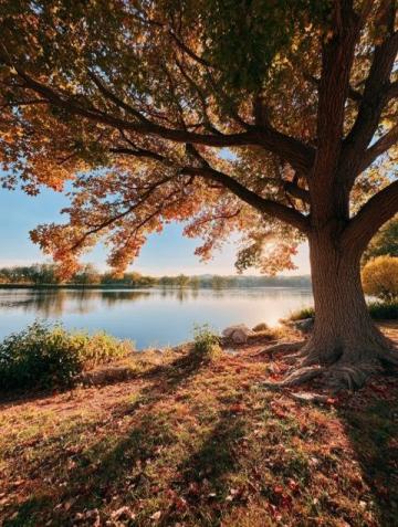 時光靜好的一道秋色