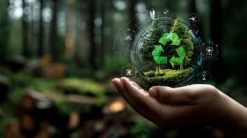 碳中和小常識:從科學分析到應用實踐