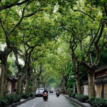 嘉興三天兩夜超全攻略