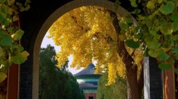 秋夜北京涼爽宜人正好約上朋友一起出行