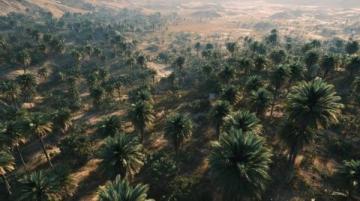 2025年初雪,金塔縣晨曦掌間融