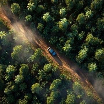 2025年初雪，金塔縣晨曦掌間融