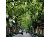 嘉興三天兩夜超全攻略