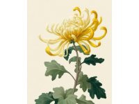 杭州植物園秋季菊花展創(chuàng)新融合國(guó)漫IP吸引兩萬(wàn)網(wǎng)友在線觀看