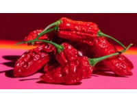 一口撞破！美女吃驚面對網紅辣椒