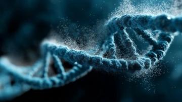 高中生物必背289個名詞解釋超詳細匯總!