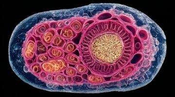 高中生物必背289個名詞解釋超詳細匯總!