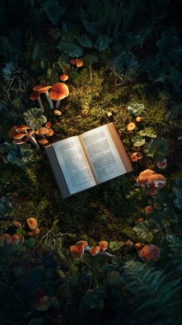 開啟知識之旅:探索自然界的奧秘與神奇現象