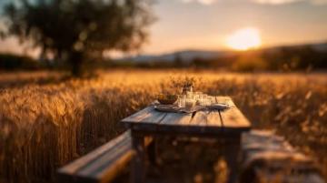 美食不是只言片語，更多的是一道風景。