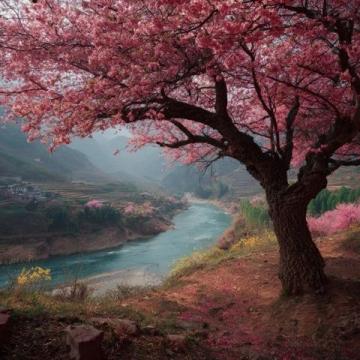 淮南的風是潤的,裹著豆香與水腥氣,讓網紅攻略里的刻板印象泡得軟乎乎的。