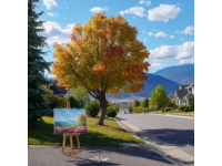 秋分將至：晝夜均分與季節(jié)變換的秘密