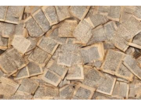 解構論語首章，揭示知識、社交和自我三重悖論