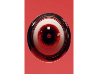 倫敦德比：阿森納vs切爾西誰是大哥？