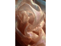 牡羊座幸運色與禁忌穿搭指南：年度彩運提升運勢