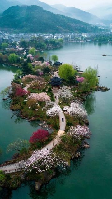春季成都美食賞花攻略,桃花朵朵增好感