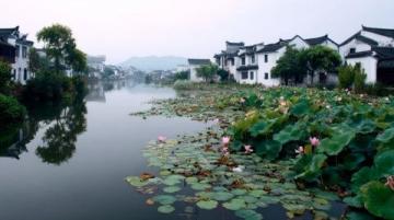 蘇州站攝影分享第七十六篇東村古村藏在太湖邊的攝影寶藏地