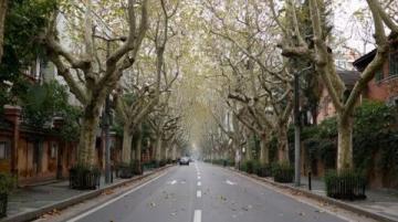 這座城市的溫潤與古樸,淮安西大街的美好之處