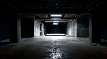 西安秋季賞葉攻略:五大絕美打卡地+拍照技巧