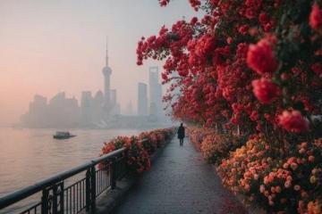 漫步上海,一整天捕捉20佳景,體驗城市風光極致之美