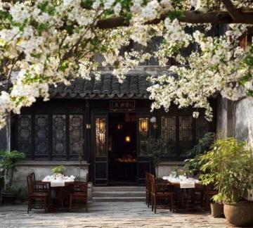 春季成都美食賞花攻略，桃花朵朵增好感