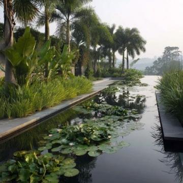 海南秘境:雨林溫泉、沙爹咖啡,一站式解鎖巴厘島度假感