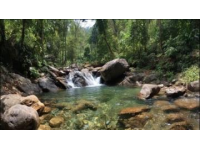 炎炎夏日，暑氣蒸騰，還有什么比一頭扎進清涼溪水里更愜意的事？——桐廬溯溪地指南！