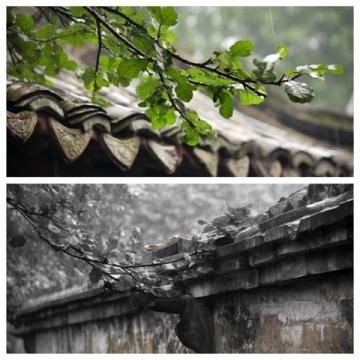 詳解屋頂防水補漏步驟與常識,告別雨季滲漏煩惱!