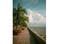 珠海周末游：探索浪漫海濱城市的完美行程指南