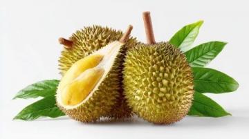 為什么在新加坡可以輕易吃到榴蓮,但是在酒店卻要遭受罰款?