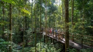 西雙版納三日游包車攻略:傣族風情與熱帶雨林探秘