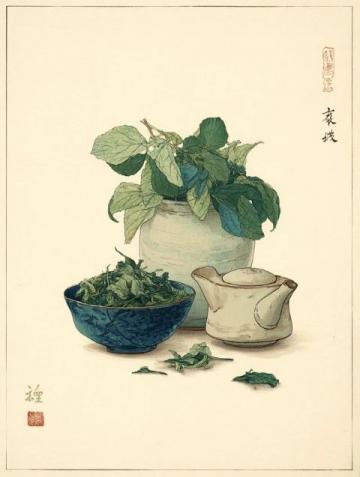 神農嘗百草:揭秘吃貨始祖背后的醫學秘密