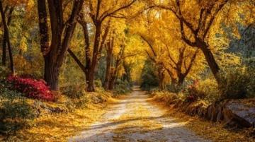 南京秋日賞景攻略:10月到12月最美景點全解鎖