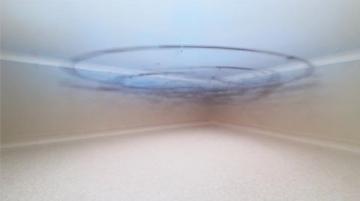 西安地道陜菜推薦:福滿長安的家常味道不容錯過