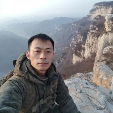 探尋慧苑坑的老君眉：武夷巖茶中的細膩韻味與特色