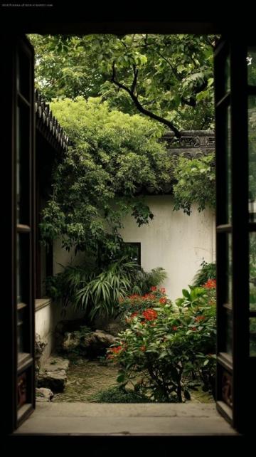 蘇州夏日慢游指南:聆聽蟬鳴下的城市韻味