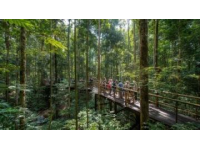 西雙版納三日游包車攻略：傣族風(fēng)情與熱帶雨林探秘
