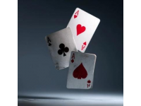 必漂高過河的三大王牌體驗揭秘