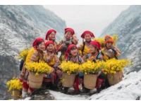 非遺里的女性魅力