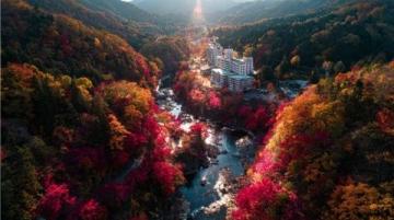 中山12月賞秋攻略|4個美到心顫的秋日秘境