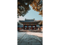 探秘首爾東大門：建筑之美與地道美食之旅