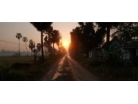 今日晨光下的家鄉(xiāng)美景，快樂瞬間共享！