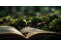 生，就像一本無解的書，寫滿了春夏秋冬，翻開每一頁都藏著不同的故事,那一段段歲月